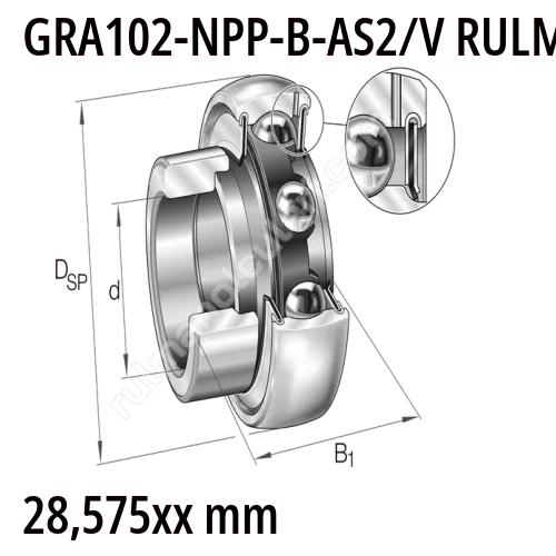 GRA102-NPP-B-AS2/V Rulman Ölçüleri | Rulmanolculeri.com