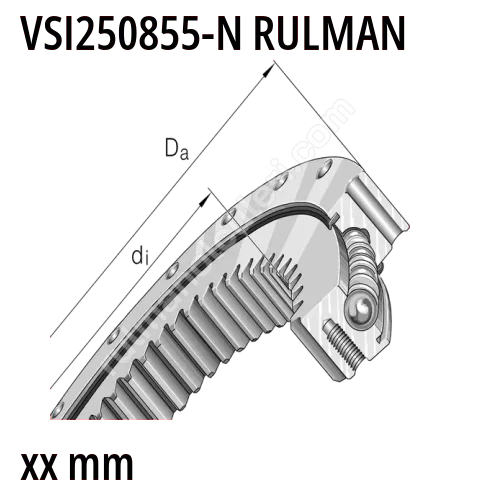 VSI250855-N Rulman Görseli