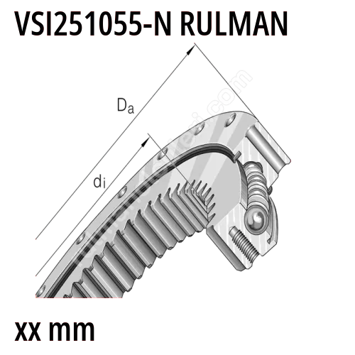 VSI251055-N Rulman Görseli