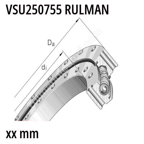 VSU250755 Rulman Görseli